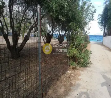 Residential 575m<sup>2</sup> for sale photo 5