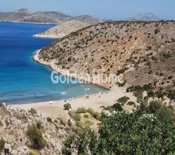 Επαγγελ. Οικόπεδο 8697τ.μ. προς πώληση φωτογραφία 12