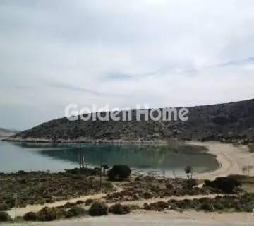 Επαγγελ. Οικόπεδο 8697τ.μ. προς πώληση φωτογραφία 13
