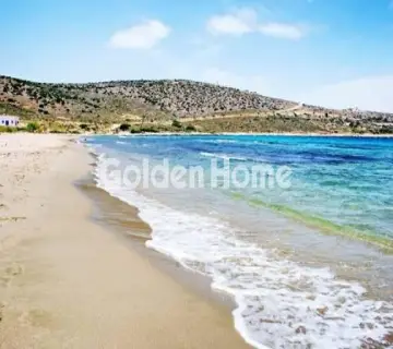 Επαγγελ. Οικόπεδο 8697τ.μ. προς πώληση φωτογραφία 7