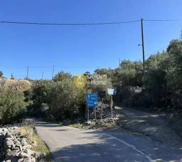 Residential 1800m<sup>2</sup> for sale photo 4539869