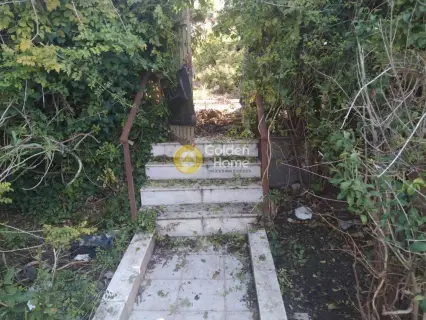 Residential 266m<sup>2</sup> for sale photo 3