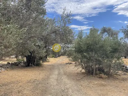 Parcel 1760m<sup>2</sup> for sale photo 4543276