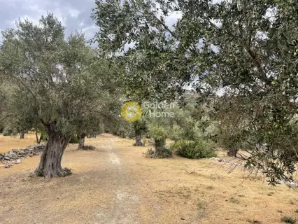 Parcel 1760m<sup>2</sup> for sale photo 4543278