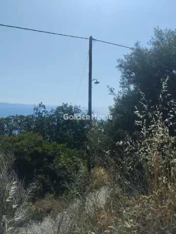 住宅 4080m<sup>2</sup> for sale photo 2