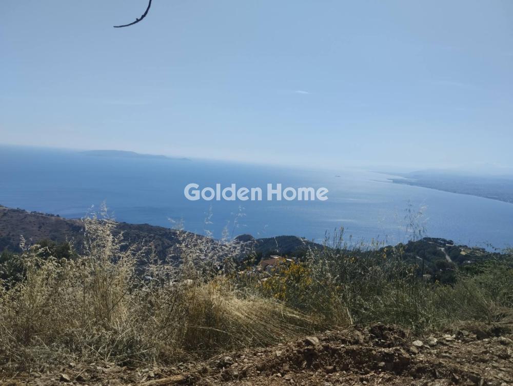 building-plot στην Γάζι — Φωτογραφία 8 από 8