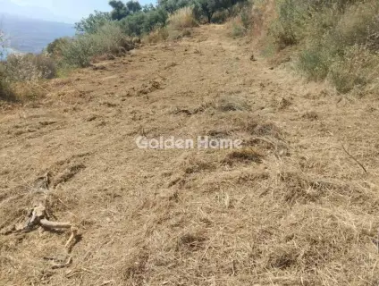 住宅 4080m<sup>2</sup> for sale photo 11