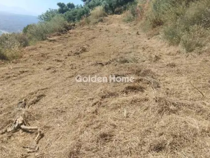 住宅 4080m<sup>2</sup> for sale photo 13