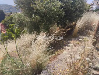 住宅 780m<sup>2</sup> for sale photo 3