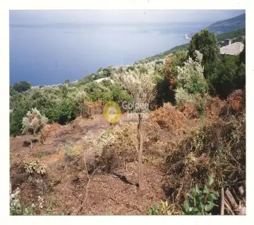 Parcel 4238m<sup>2</sup> for sale photo 4553688