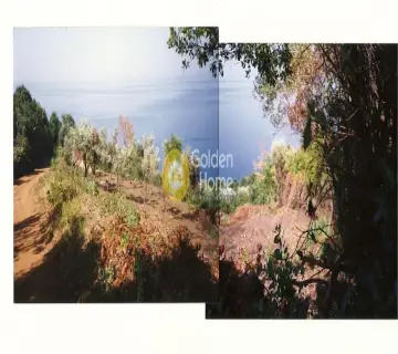 Parcel 4238m<sup>2</sup> for sale photo 4553688