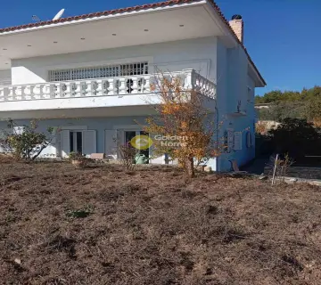 Residence complex 520m<sup>2</sup> for sale photo 7