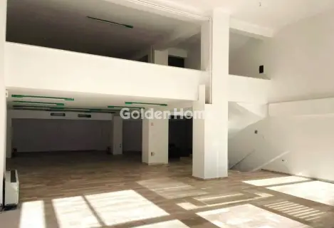 Κατάστημα 530τ.μ. προς ενοικίαση φωτογραφία 20