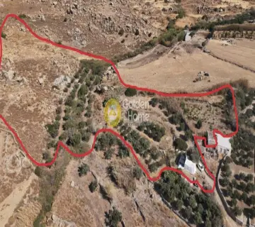 Golden Home Property Image