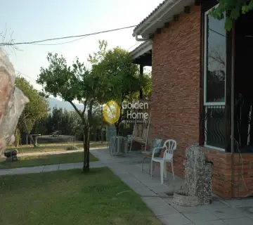 Golden Home Property Image