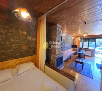 Studio 55m<sup>2</sup> for rent photo 4