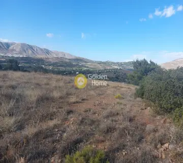 Οικιστικό 10052τ.μ. προς πώληση φωτογραφία 2