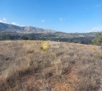 Οικιστικό 10052τ.μ. προς πώληση φωτογραφία 3