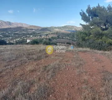 Οικιστικό 10052τ.μ. προς πώληση φωτογραφία 5