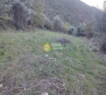 Residential 4160m<sup>2</sup> for sale photo 4546022