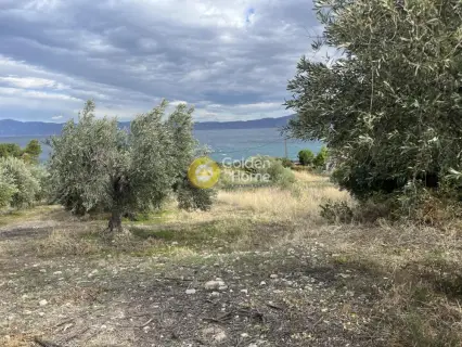 Parcel 4100m<sup>2</sup> for sale photo 4557498