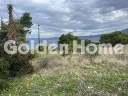 住宅 4476m<sup>2</sup> for sale photo 9