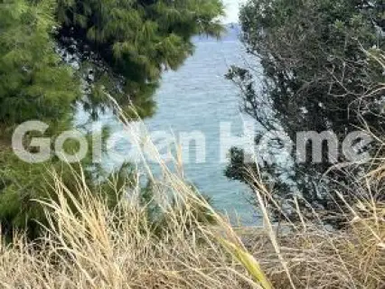 住宅 4476m<sup>2</sup> for sale photo 2