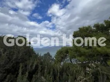 住宅 4476m<sup>2</sup> for sale photo 5584791