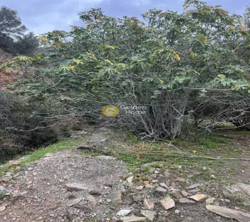 Residential 7094m<sup>2</sup> for sale photo 12