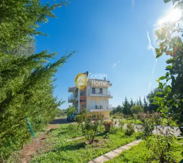 Golden Home Property Image