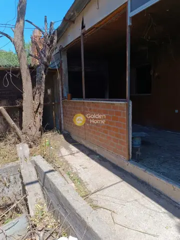 Residential 245m<sup>2</sup> for sale photo 3