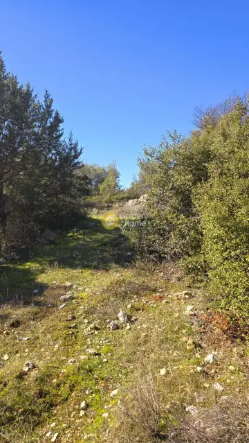 Οικιστικό 1050τ.μ. προς πώληση φωτογραφία 4583186