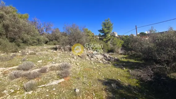 Οικιστικό 1050τ.μ. προς πώληση φωτογραφία 4583187