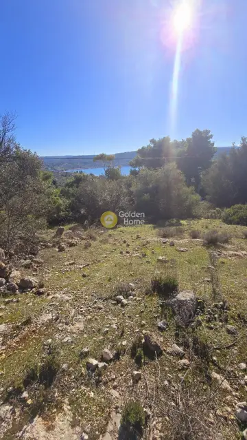 Οικιστικό 1050τ.μ. προς πώληση φωτογραφία 4583189