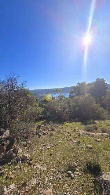 Οικιστικό 1050τ.μ. προς πώληση φωτογραφία 4583191