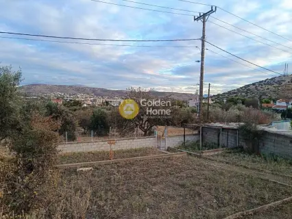 Residential 252m<sup>2</sup> for sale photo 4