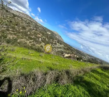 Residential 4700m<sup>2</sup> for sale photo 4