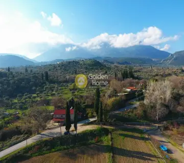 Golden Home Property Image