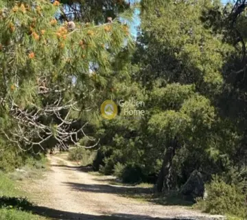 Residential 400m<sup>2</sup> for sale photo 1
