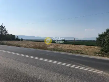 Professional Plot 40000m<sup>2</sup> for sale photo 2
