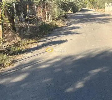 Οικιστικό 983τ.μ. προς πώληση φωτογραφία 4557036