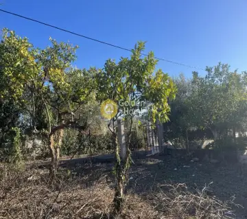 Οικιστικό 983τ.μ. προς πώληση φωτογραφία 4557039