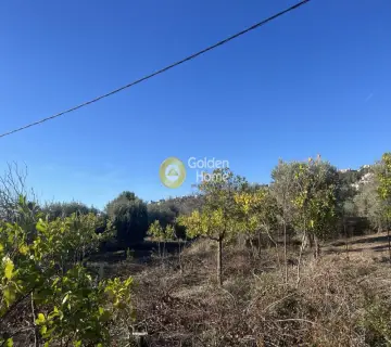 Οικιστικό 983τ.μ. προς πώληση φωτογραφία 4557041