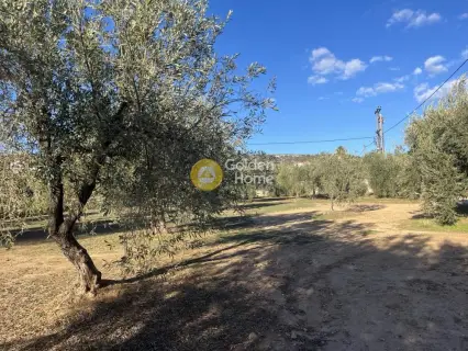 Residential 843m<sup>2</sup> for sale photo 4557064