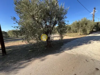Residential 843m<sup>2</sup> for sale photo 4557066
