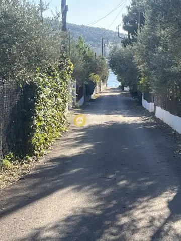 Επαγγελ. Οικόπεδο 1850τ.μ. προς πώληση φωτογραφία 4557074