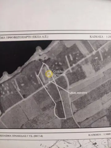 Area 5000m<sup>2</sup> for sale photo 3
