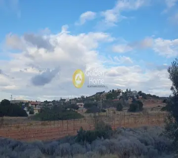 Οικιστικό 6500τ.μ. προς πώληση φωτογραφία 9