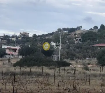 Οικιστικό 6500τ.μ. προς πώληση φωτογραφία 10
