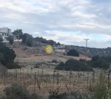 Οικιστικό 6500τ.μ. προς πώληση φωτογραφία 3